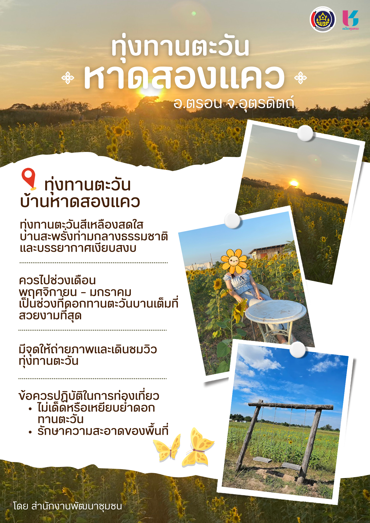 ⭐ ONE DAY ONE PLACE : ทุ่งทานตะวันหาดสองแคว🌻